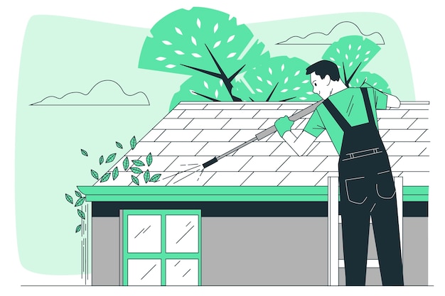Professional Roof Cleaning